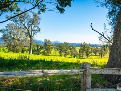 352 Bodalla Park Drive, Bodalla