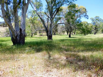 30 Boongarry Road, Trawool