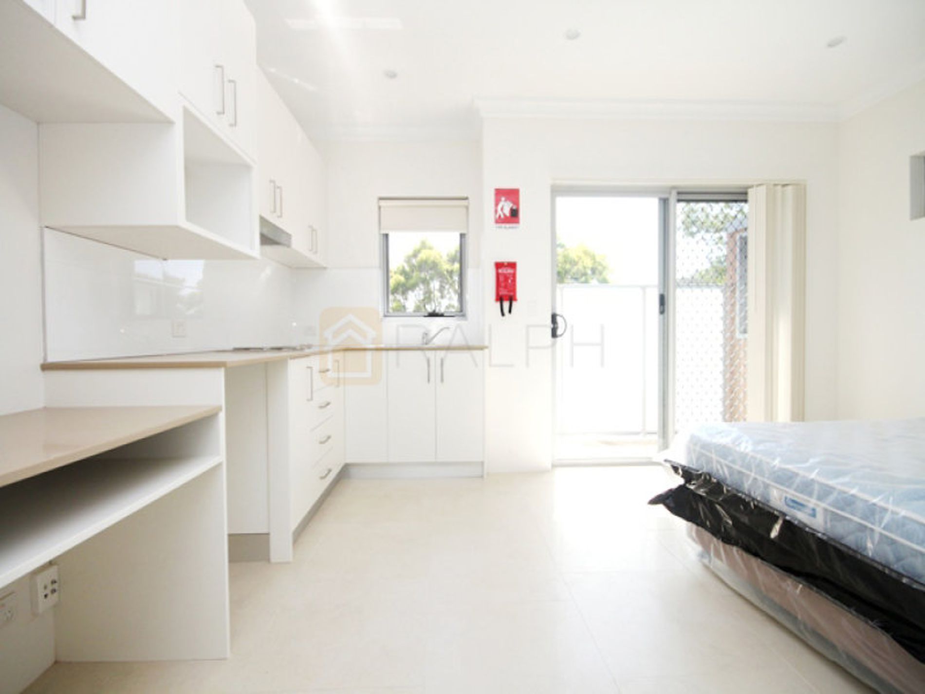 37 Mccourt Street, Wiley Park