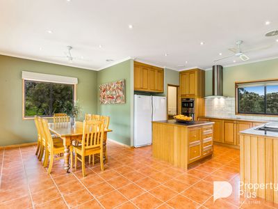403 Ottreys Scrub Road, Walmer