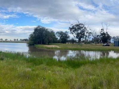 Lot 1, 4000 Korong Vale-Wychitella Road, Woolshed Flat