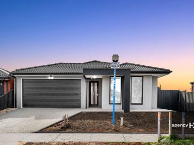 19 Copal Street, Cobblebank