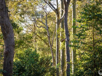 212 Ridge Road, Central Tilba
