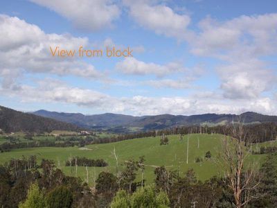 Glen Huon