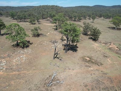 1766 FLAGGS ROAD, Gungal