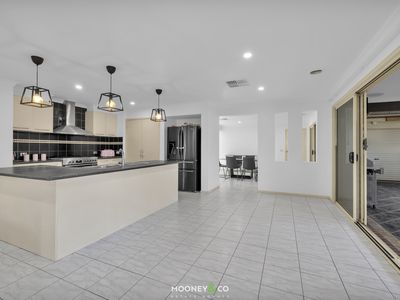 16 Dryandra Place, Cranbourne