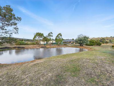4 Blackwood Drive, Forcett