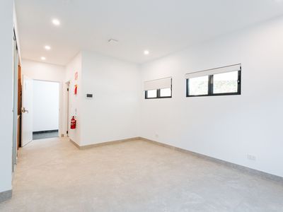 132 Waminda Avenue, Campbelltown