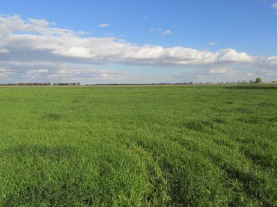 8511 Murray Valley Highway, Kerang East