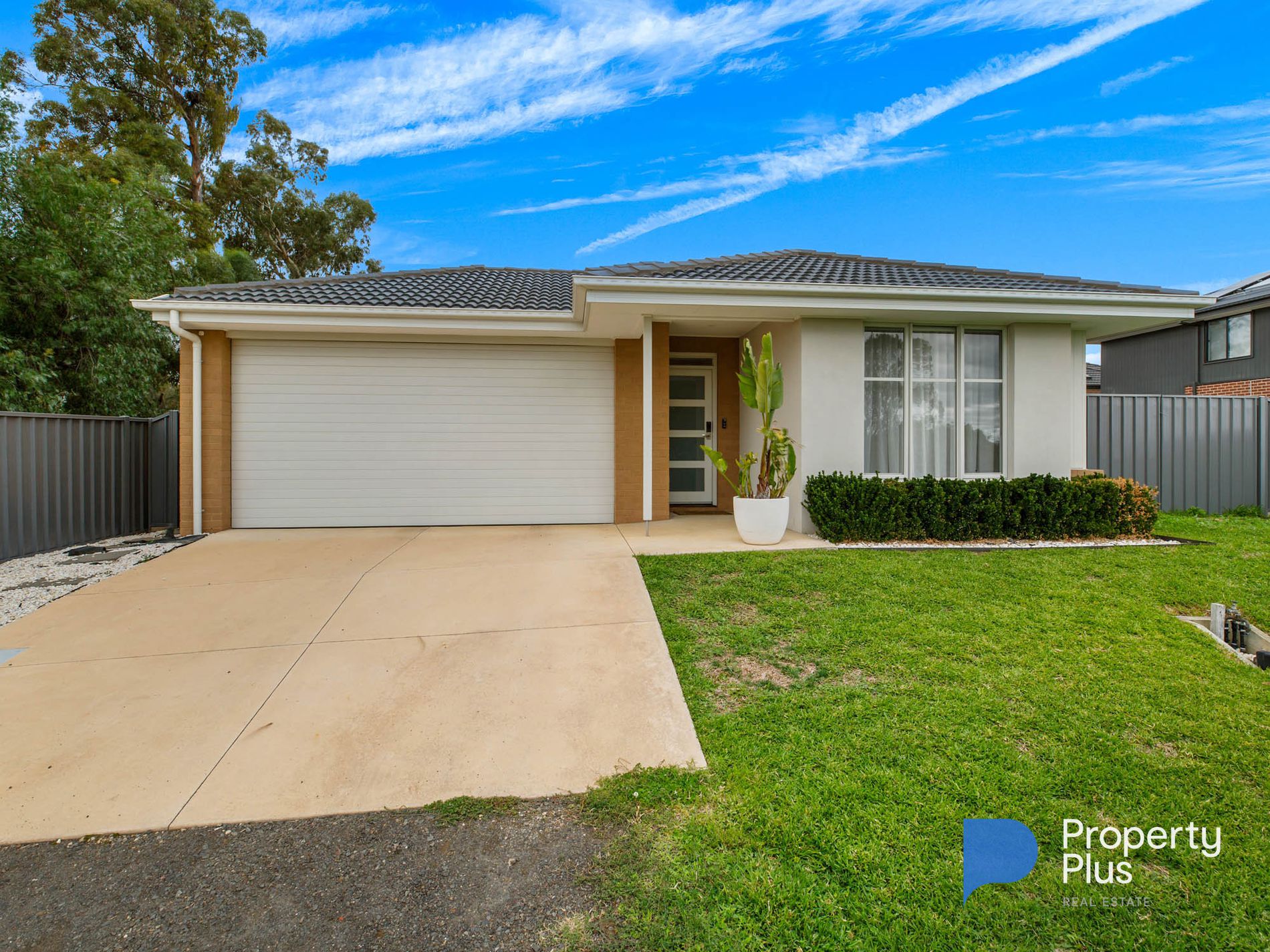 58 Andrew Street, White Hills