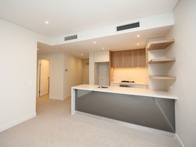 216 / 172 Ross Street, Forest Lodge