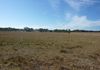 2342 Belgravia Road, Molong