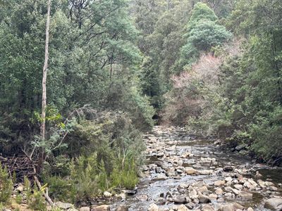 711 Judds Creek Road, Judbury