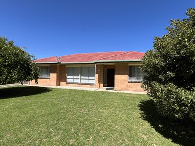 6 Classics Avenue, Millicent