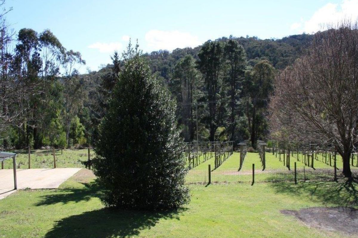 2690 Mount Buller Road, Merrijig