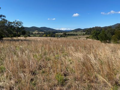 427 Shaws Road, Hollisdale