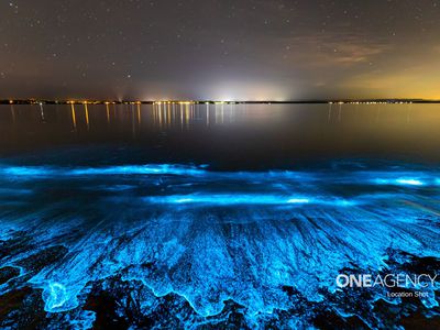 a107 / 4 Murdoch Street, Huskisson