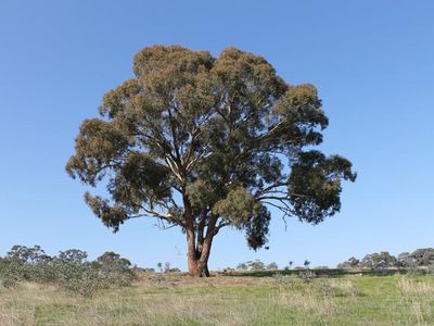 Lot 14 Lot 14 Watkins Lane, Heathcote