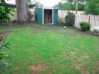 Ourimbah