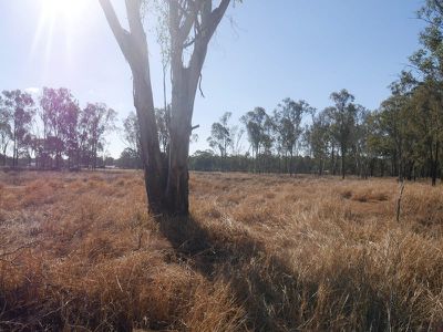 46 Railway Road, Kingaroy