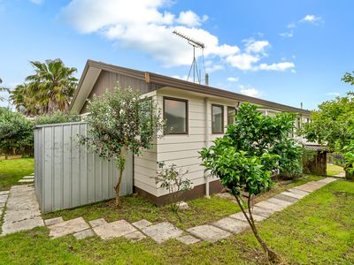 55 Hassan Drive, Massey