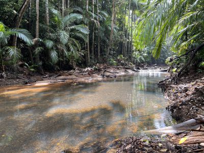 2583  Isabella McIvor Road , Cooktown