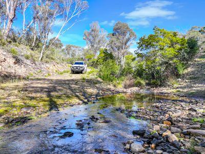 Lot 193 / 443 Back Creek Road, Mongarlowe