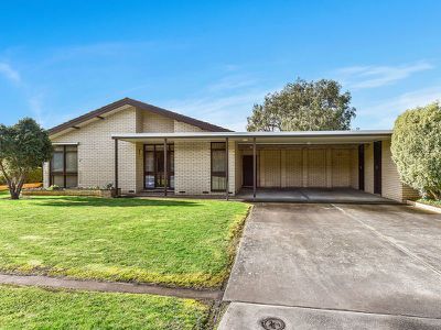 16 Belt Road, Millicent