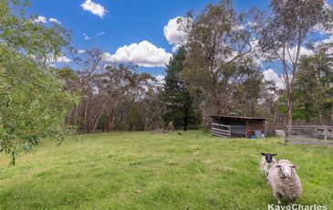 61 Salisbury Road, Beaconsfield Upper