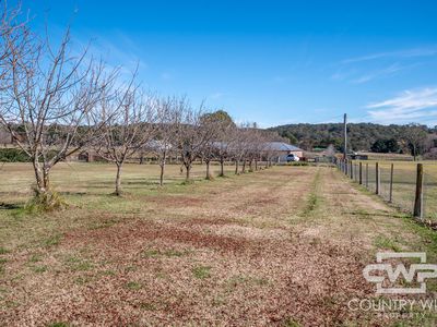 28 Carlisle Close, Glen Innes