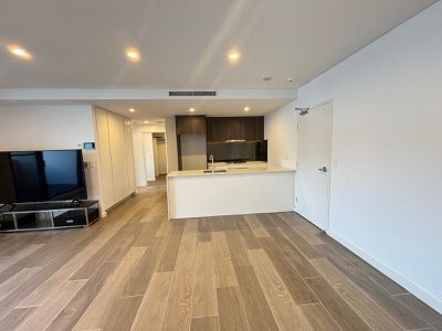303 / 541 Burwood Road, Belmore