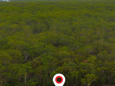 86 / 157 The Springs Rd, Sussex Inlet