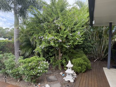 2 Patrick Street, Point Vernon
