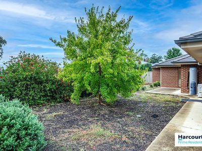 15 / McKenna Avenue, Yass