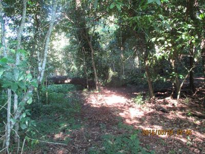 3146 Endeavour Valley Road, Cooktown