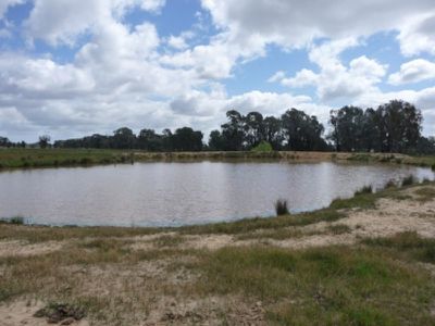 Cheesleys Road, Indigo Valley