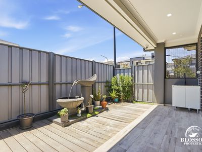 36 Marsdenia Avenue, Marsden Park