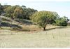 Lot 100 Emu Swamp Road, Orange