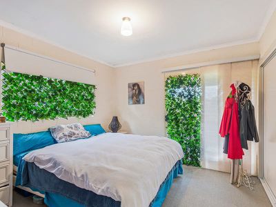 1 / 4 Silky Oak Drive, Nimbin