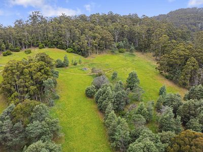 110 Sunday Hill Road, Petcheys Bay