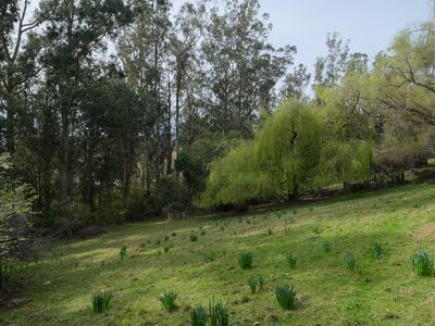 39 Paterson Road, Mosgiel