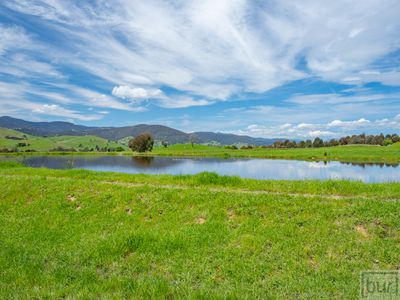 275 Soldier Settlers Road, Tallangatta Valley