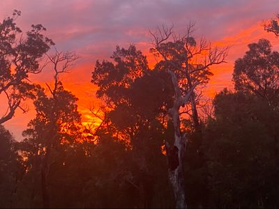 3 Sylvia Court, Mallacoota
