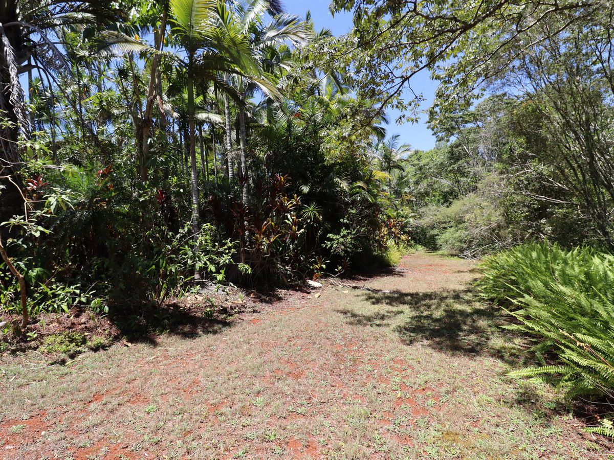 38 Mathers Road, Malanda