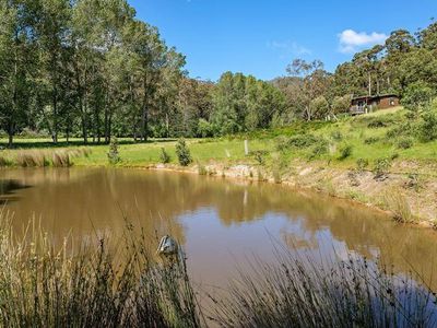 255 Turn Creek Road, Grove
