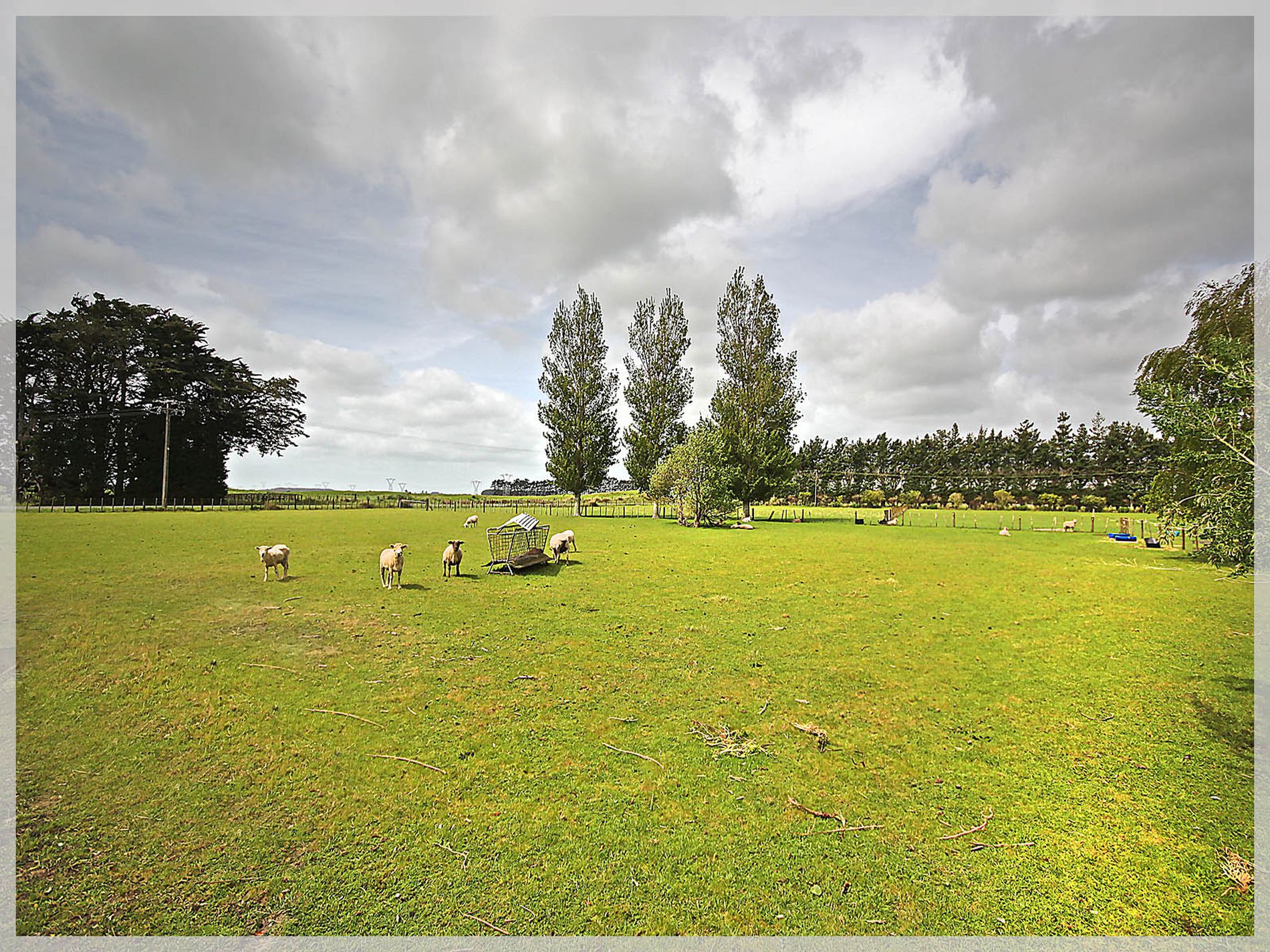 296 Motuiti Road, Foxton