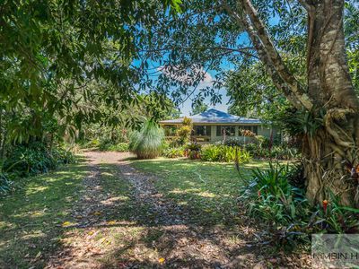 447 Terania Creek Road, Terania Creek