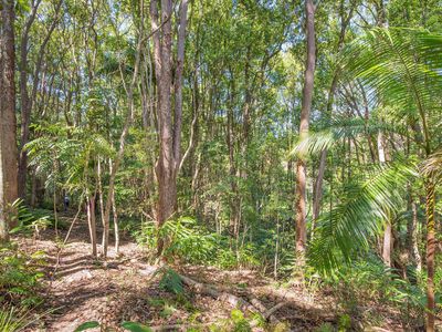 135 Mafeking Road, Goonengerry