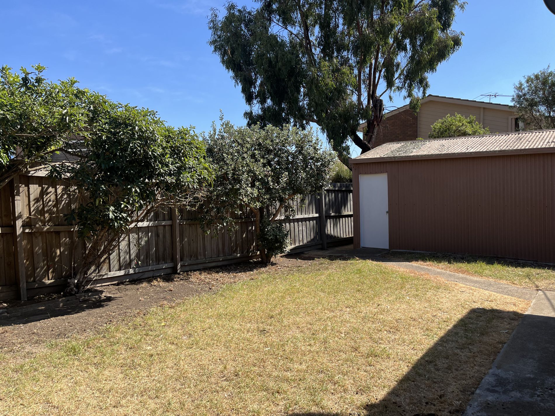 58 Peter Street, Grovedale