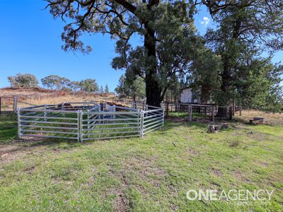 867 Borah Creek Road, Quirindi